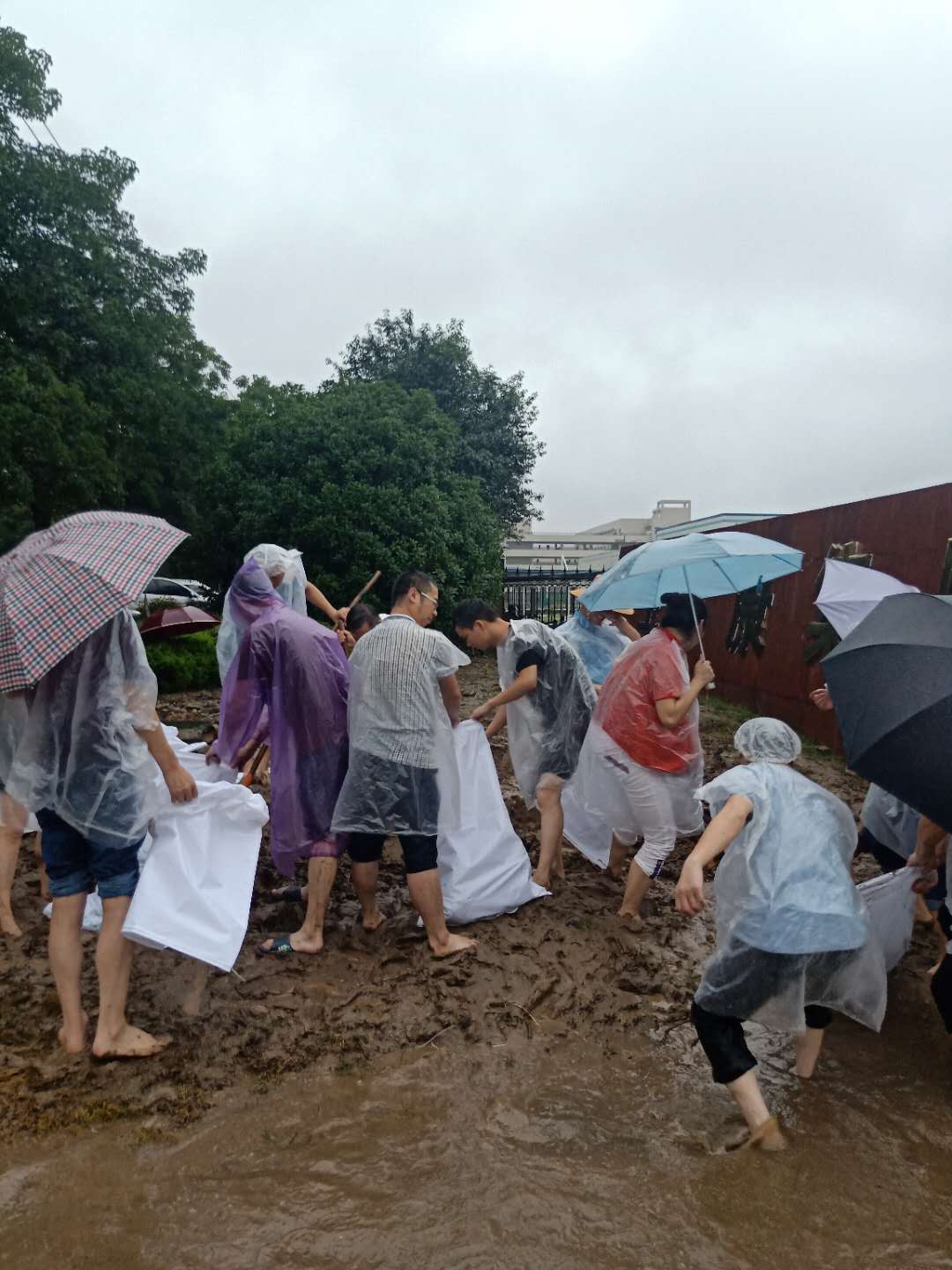 暴雨無情人有情——記暴雨過后排水搶險(xiǎn)的衛(wèi)爾康人